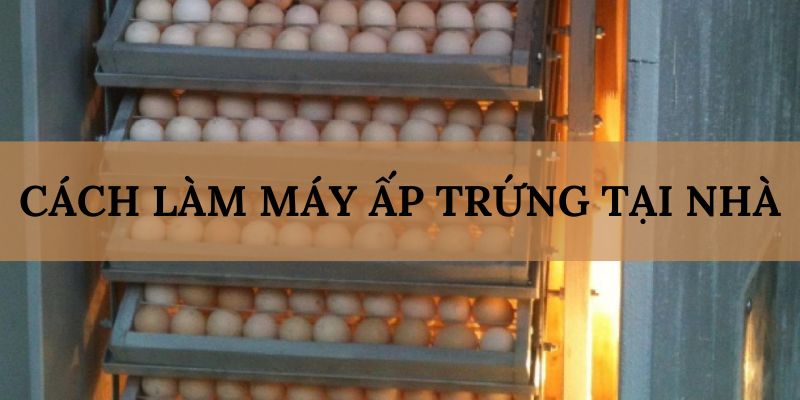 Banner www.sesanhpc.vn