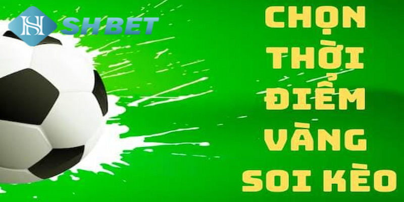 Banner www.sesanhpc.vn