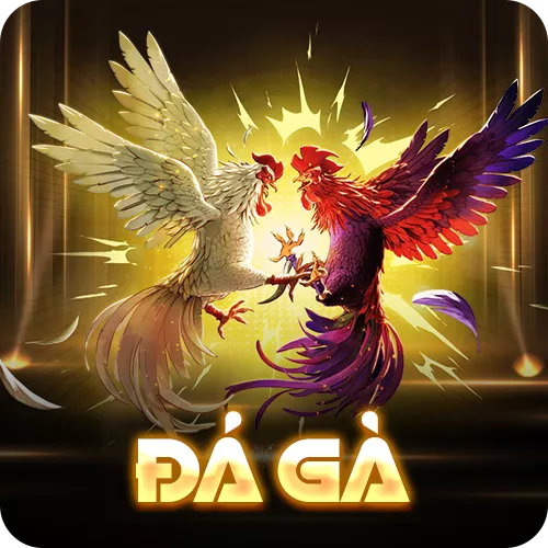 Banner www.sesanhpc.vn