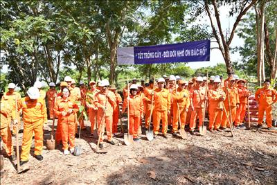 Nhiều hoạt động ý nghĩa tại Công ty Phát triển Thủy điện Sê San trong tháng 6/2026