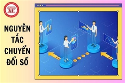 Nguyên tắc chuyển đổi số từ 1/7/2026 như thế nào? Chính sách của Nhà nước về chuyển đổi số ra sao?