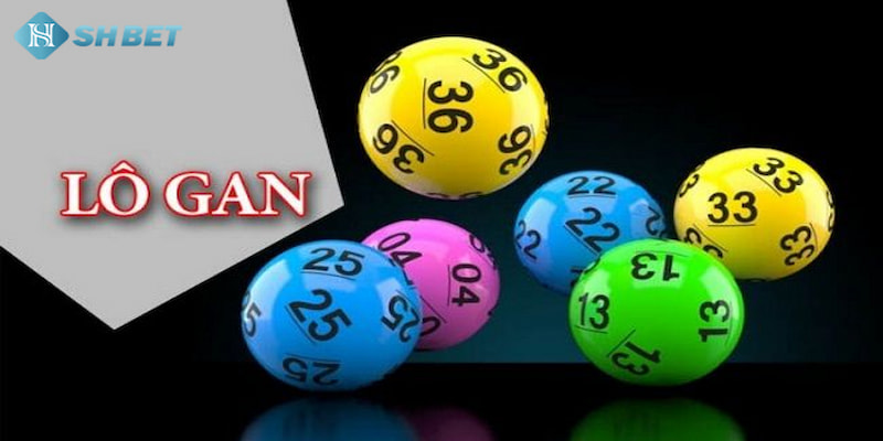 Banner www.sesanhpc.vn