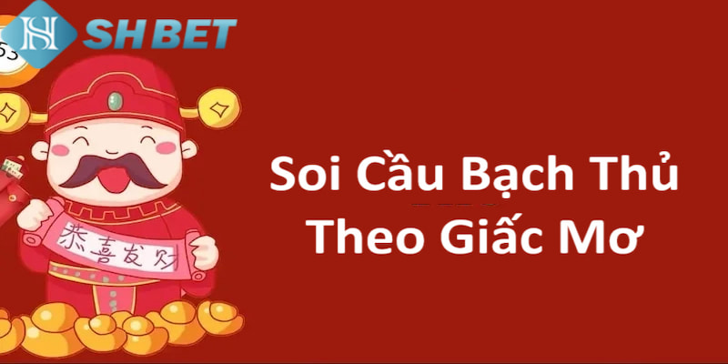 Banner www.sesanhpc.vn